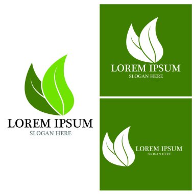 Doğa yaprağı simgesi ve sembol vektörü