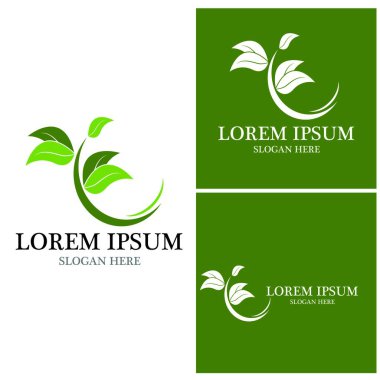 Doğa yaprağı simgesi ve sembol vektörü