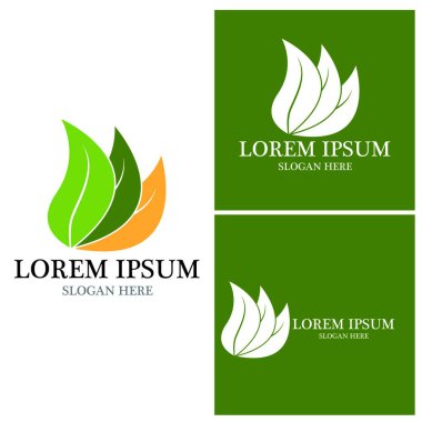 Doğa yaprağı simgesi ve sembol vektörü