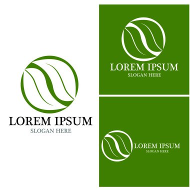 Doğa yaprağı simgesi ve sembol vektörü