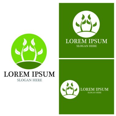 Doğa yaprağı simgesi ve sembol vektörü