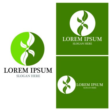 Doğa yaprağı simgesi ve sembol vektörü