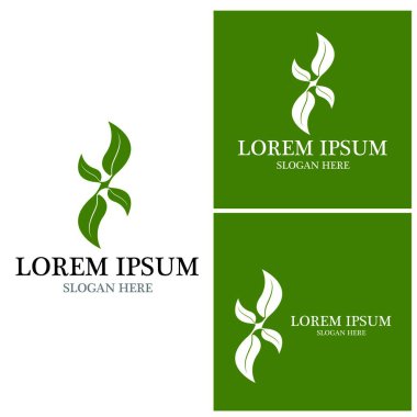 Doğa yaprağı simgesi ve sembol vektörü