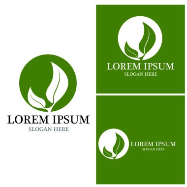 Doğa yaprağı simgesi ve sembol vektörü