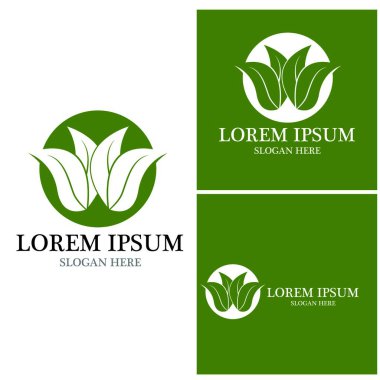 Doğa yaprağı simgesi ve sembol vektörü