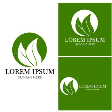 Doğa yaprağı simgesi ve sembol vektörü