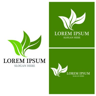 Doğa yaprağı simgesi ve sembol vektörü