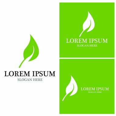 Doğa yaprağı simgesi ve sembol vektörü