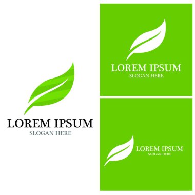 Doğa yaprağı simgesi ve sembol vektörü