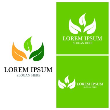 Doğa yaprağı simgesi ve sembol vektörü