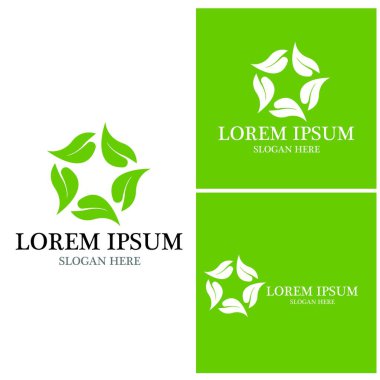 Doğa yaprağı simgesi ve sembol vektörü