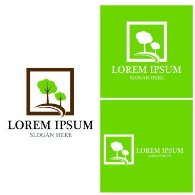 Ağaç simgesi ve sembol vektör şablonu