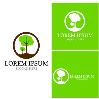 Ağaç simgesi ve sembol vektör şablonu