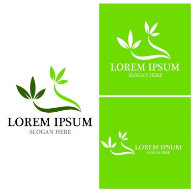 Doğa yaprağı simgesi ve sembol vektörü