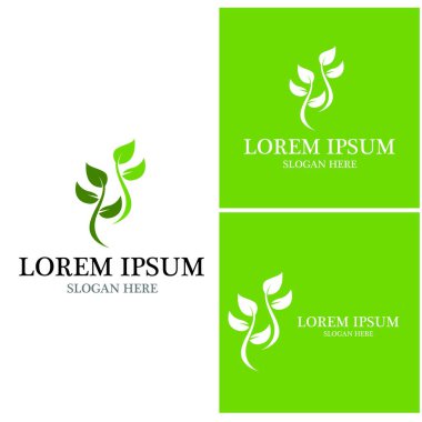 Doğa yaprağı simgesi ve sembol vektörü