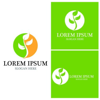 Doğa yaprağı simgesi ve sembol vektörü