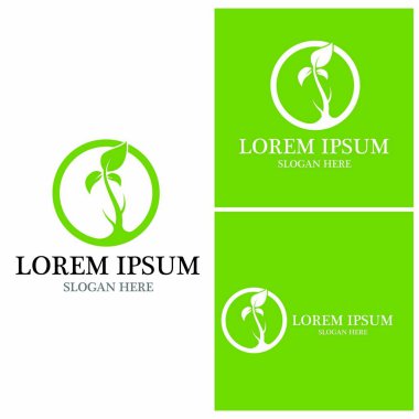 Doğa yaprağı simgesi ve sembol vektörü