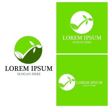 Doğa yaprağı simgesi ve sembol vektörü