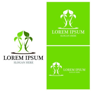 Doğa yaprağı simgesi ve sembol vektörü