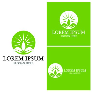 Doğa yaprağı simgesi ve sembol vektörü