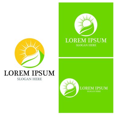 Doğa yaprağı simgesi ve sembol vektörü