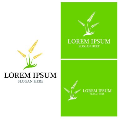 Tarım simgesi ve sembol vektör şablonu