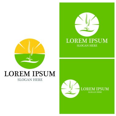 Tarım simgesi ve sembol vektör şablonu