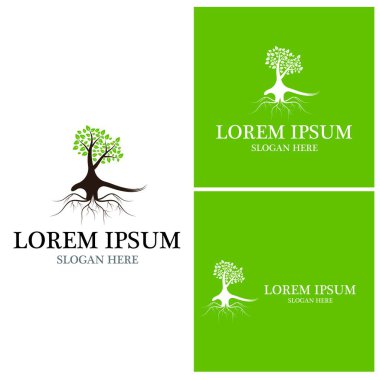 Ağaç simgesi ve sembol vektör şablonu