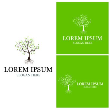 Ağaç simgesi ve sembol vektör şablonu