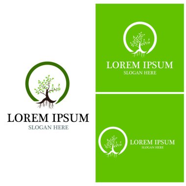 Ağaç simgesi ve sembol vektör şablonu