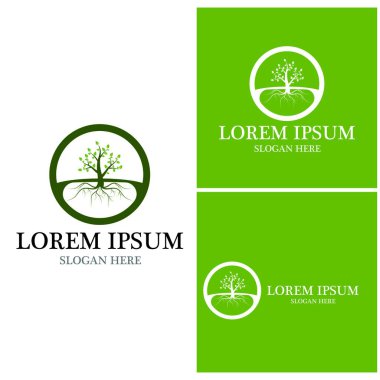 Ağaç simgesi ve sembol vektör şablonu