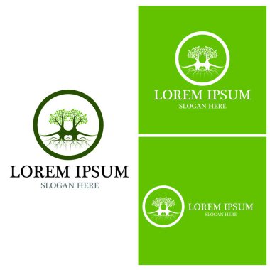 Ağaç simgesi ve sembol vektör şablonu