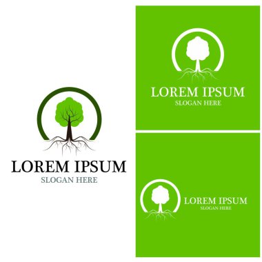 Ağaç simgesi ve sembol vektör şablonu