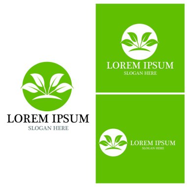 Doğa yaprağı simgesi ve sembol vektörü