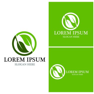 Doğa yaprağı simgesi ve sembol vektörü