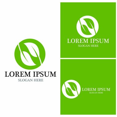 Doğa yaprağı simgesi ve sembol vektörü