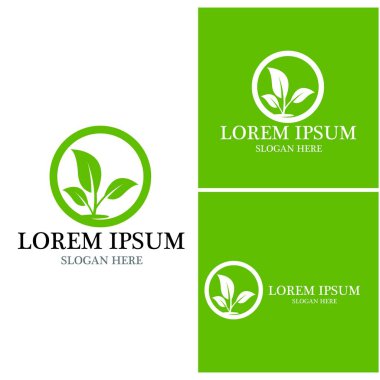 Doğa yaprağı simgesi ve sembol vektörü