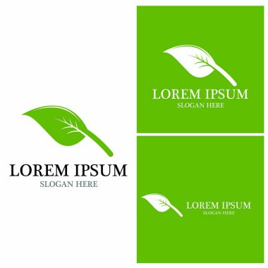 Doğa yaprağı simgesi ve sembol vektörü