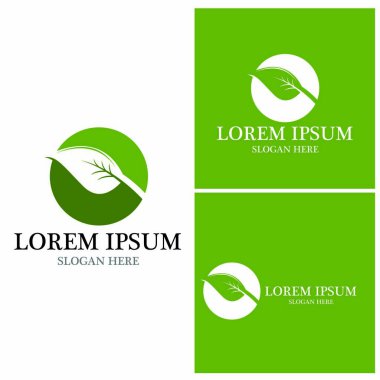 Doğa yaprağı simgesi ve sembol vektörü