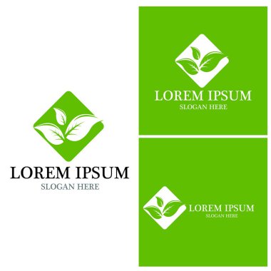 Doğa yaprağı simgesi ve sembol vektörü