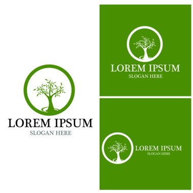 Ağaç simgesi ve sembol vektör şablonu