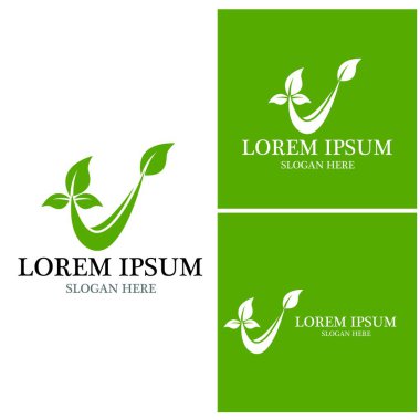 Doğa yaprağı simgesi ve sembol vektörü