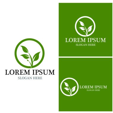 Doğa yaprağı simgesi ve sembol vektörü