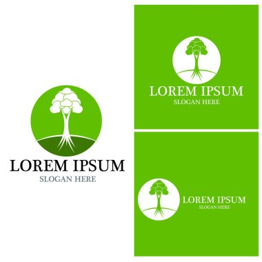 Ağaç simgesi ve sembol vektör şablonu