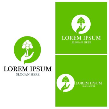 Ağaç simgesi ve sembol vektör şablonu