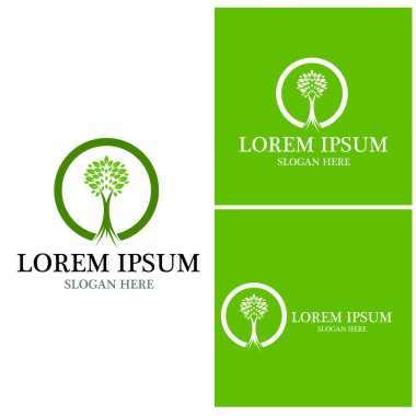 Ağaç simgesi ve sembol vektör şablonu