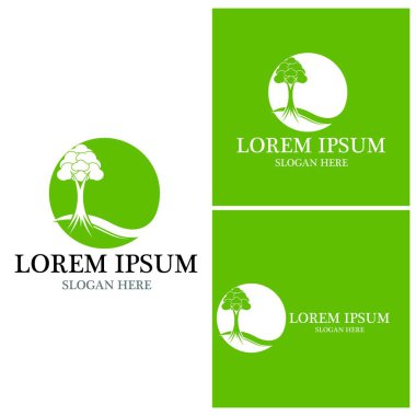 Ağaç simgesi ve sembol vektör şablonu