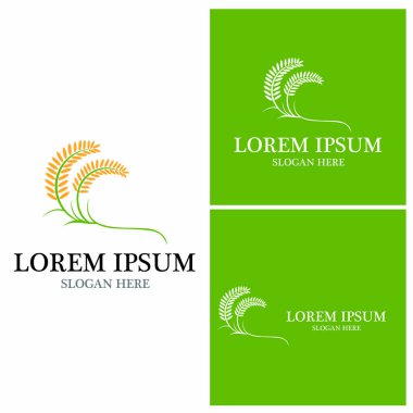 Tarım buğday vektör tasarımı 