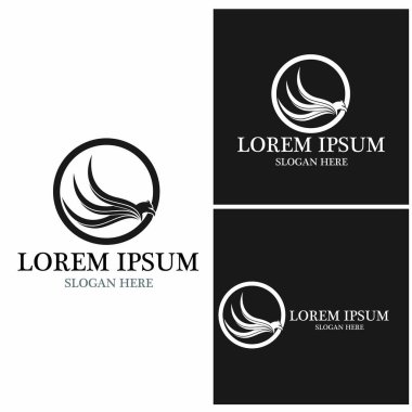 Falcon Logo Şablonu vektör çizimi tasarımı