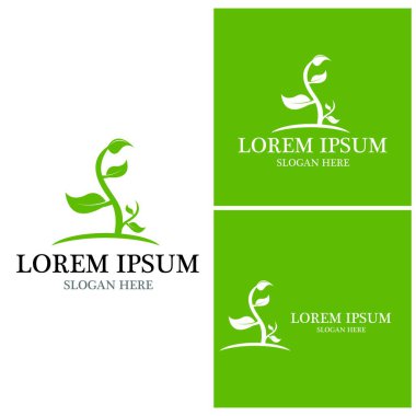 Doğa yaprağı simgesi ve sembol vektörü